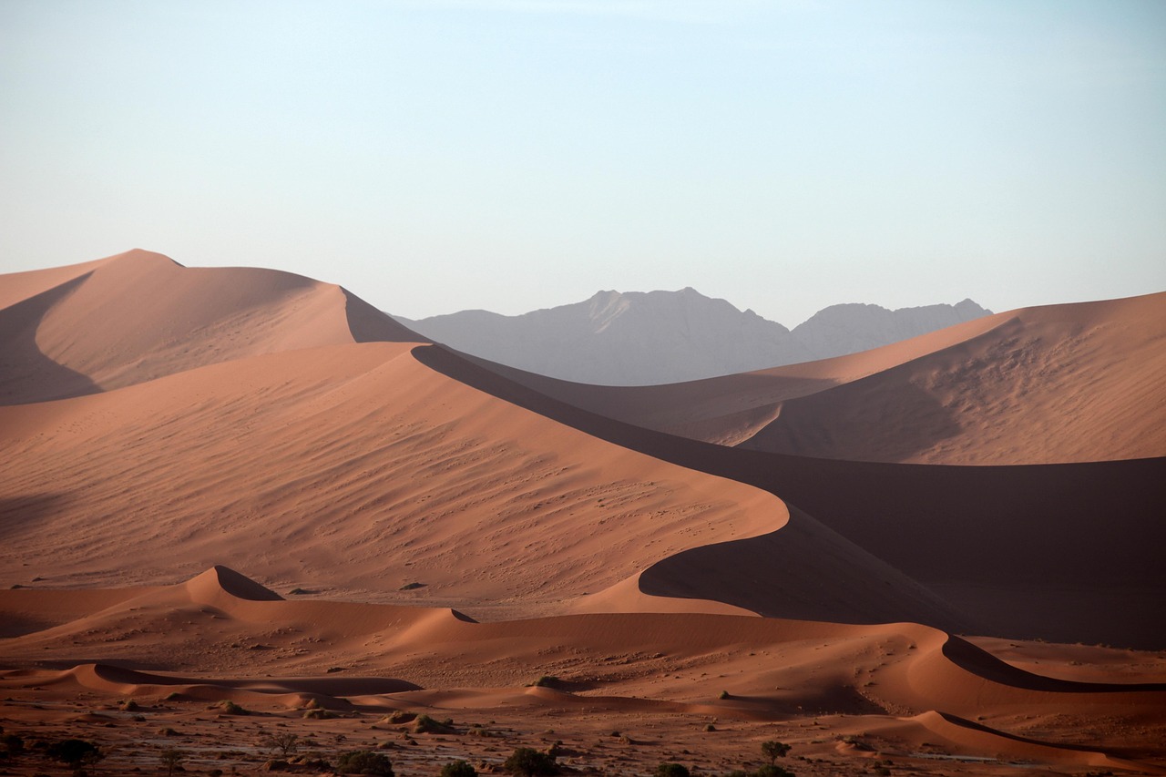 namib desert tours